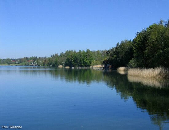 BayernTour Natur:Wanderung um den Seehamer See (im FFH-Gebiet)